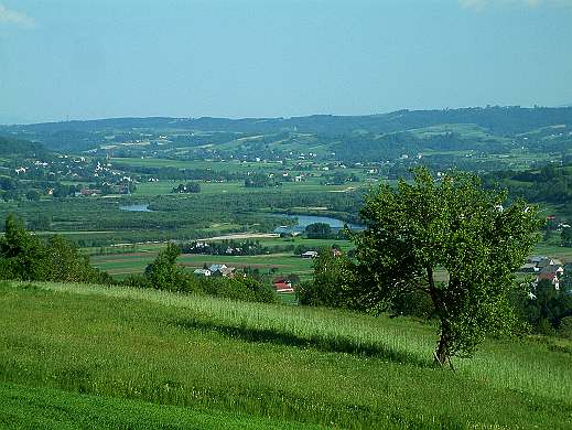 Dunajec 1.jpg