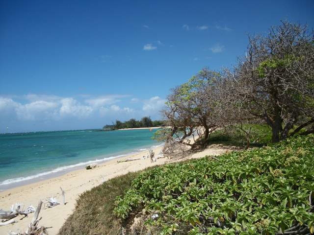 Kanaha Beach Park