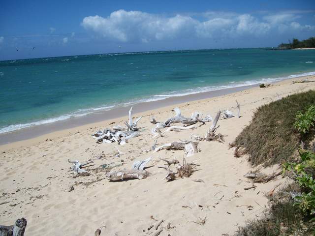 Kanaha Beach