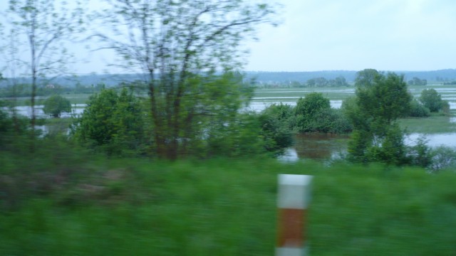 090_1.JPG