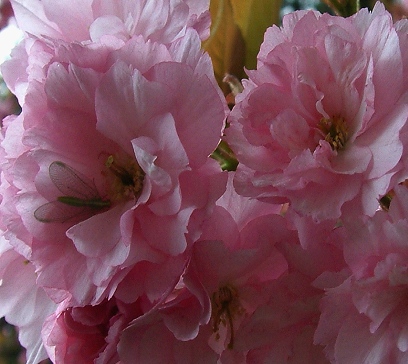 Mokry maj 2-5  2.jpg