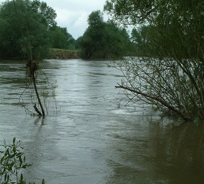 2010-06-01 Odra znowu przybiera.jpg
