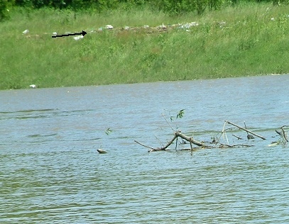 2010-06-04 druga fala powodzi, strzałka zaznacza poziom z maja.jpg
