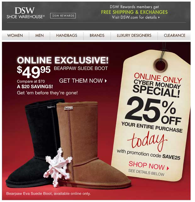 dsw.jpg