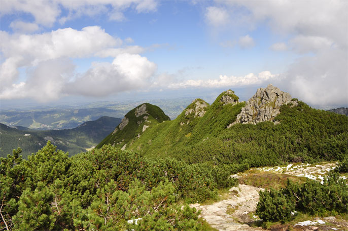 _DSC5904.jpg