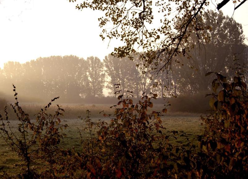 _DSC0032.jpg