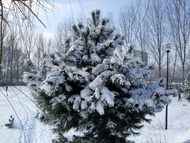 proba 006.JPG