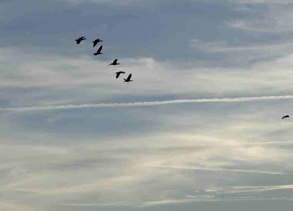 ufoufo0007ufo.JPG