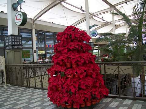 Pomyslowa choinka