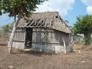 P1010614_1.JPG