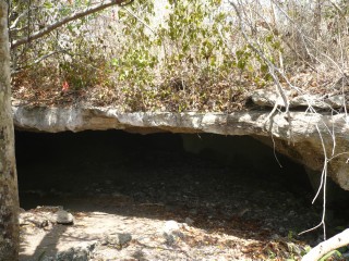 P1010635_1.JPG