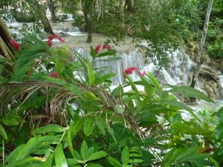 P1010870_1_1.JPG