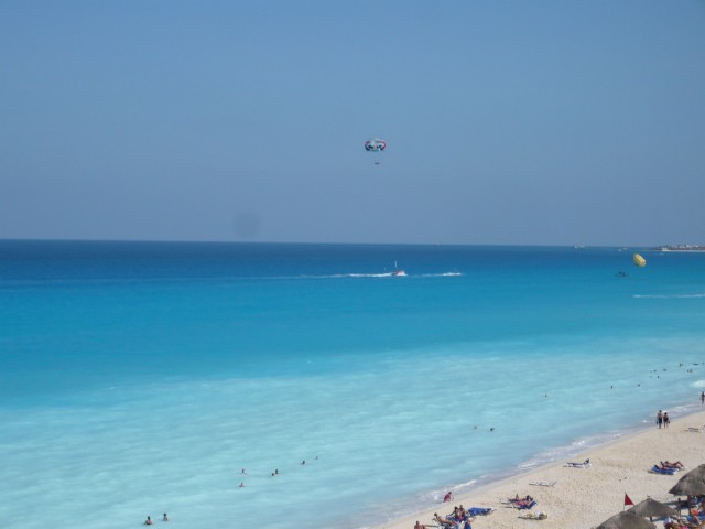P1000245_1.JPG