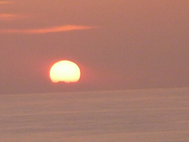 P1000249_1.JPG