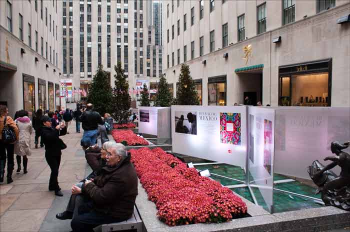 _MG_0926_NYC_sm.jpg