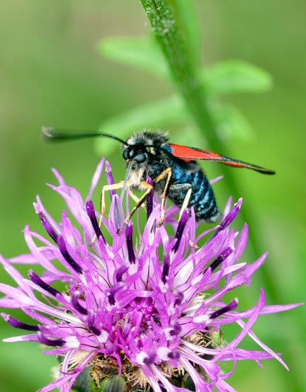 _DSC9663.jpg