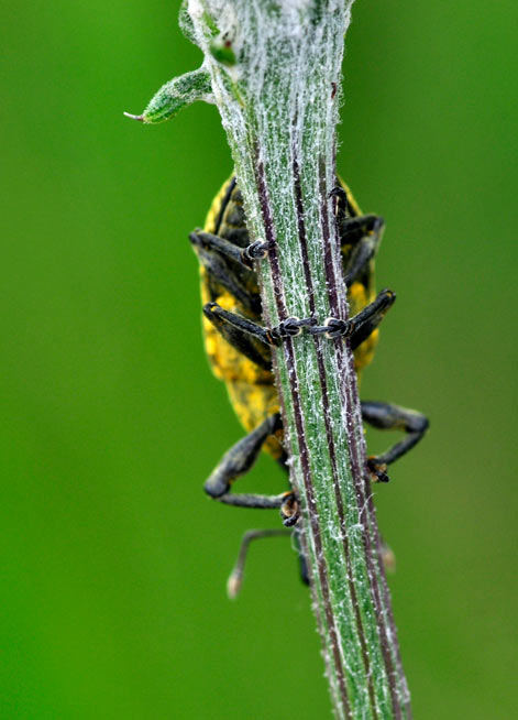_DSC9689.jpg