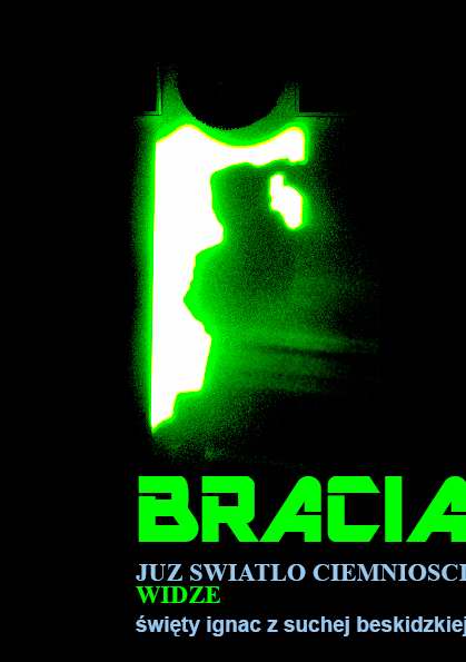 bracia1bra.JPG