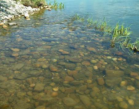 Dunajec 3.jpg