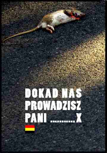 szczurek1biedny.JPG
