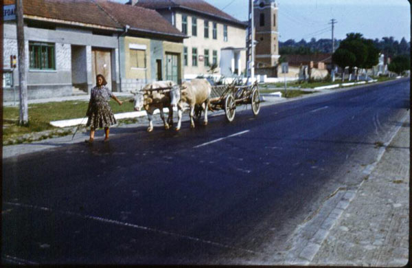 1978Wakacje258.jpg
