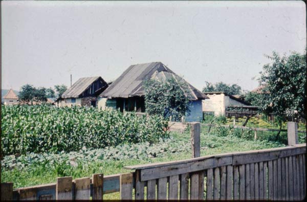 1978Wakacje046.jpg