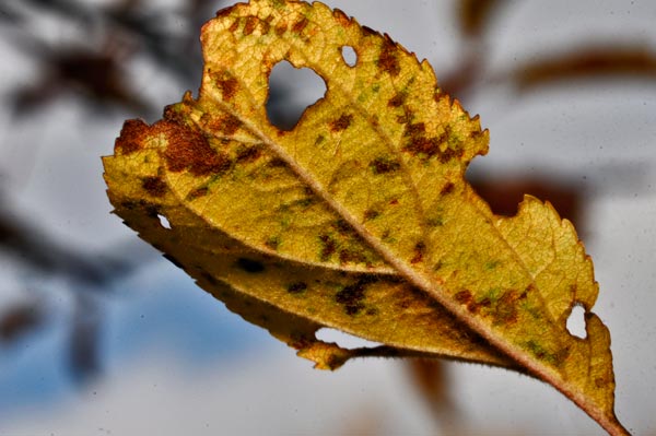 _DSC4748.jpg