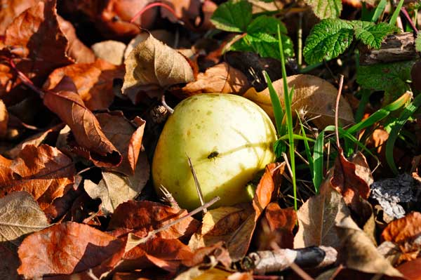 _DSC4834.jpg