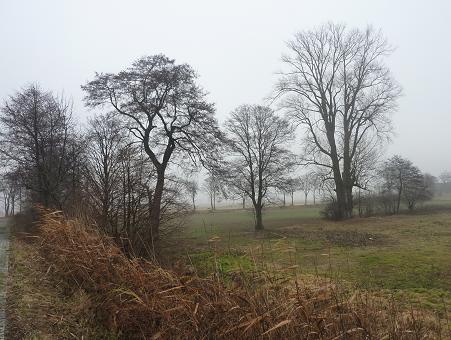 grudzien mgla lyso.jpg