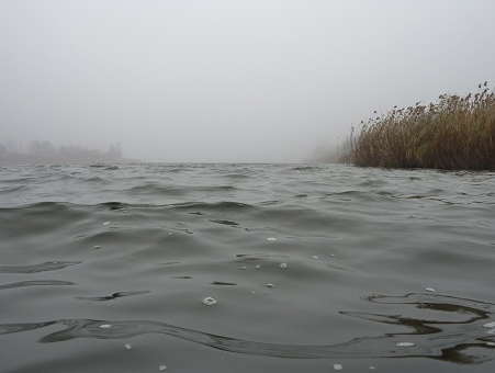 grudzien mgla ruszyl.jpg