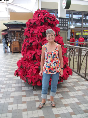 Cool Christmas Tree.jpg