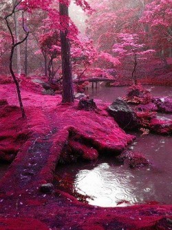 Bridges%20Park%20Irlandia 1.jpg