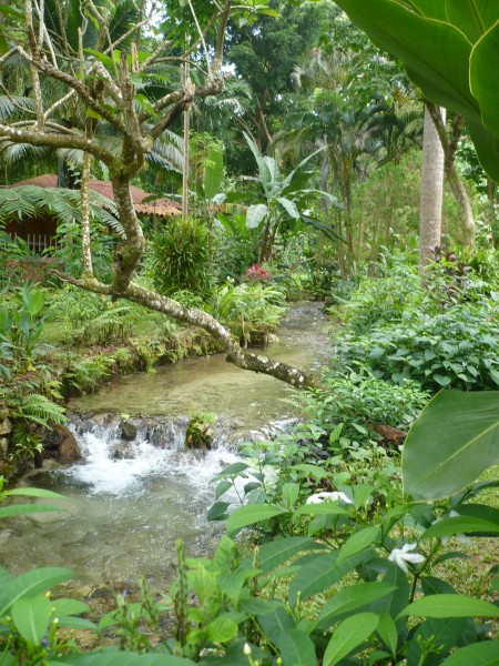 P1010744_1.JPG