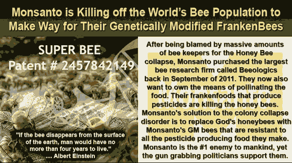 Bees....png