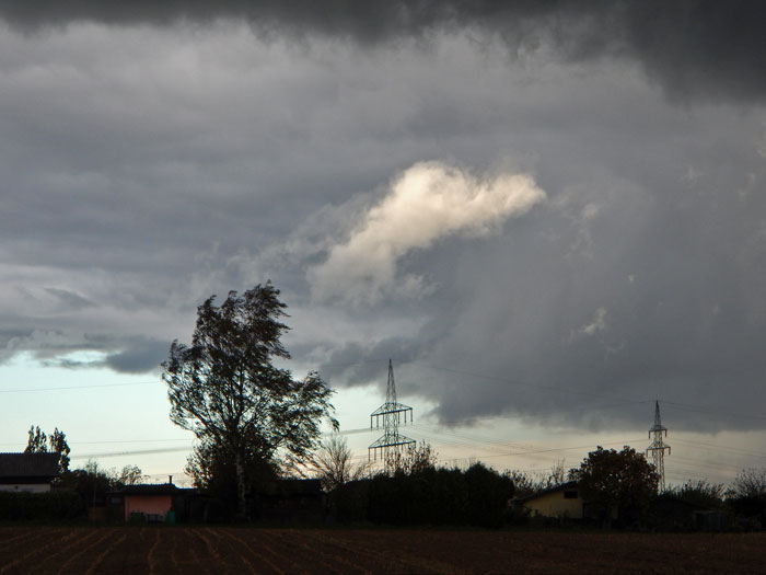DSCN0078.jpg