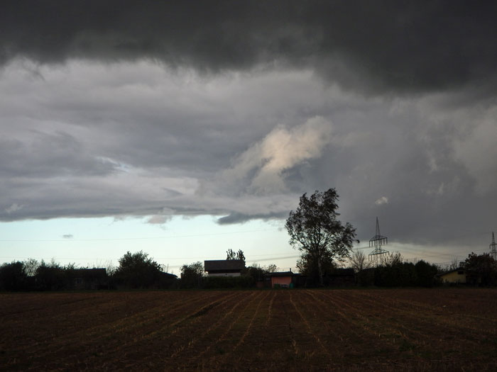 DSCN0077.jpg