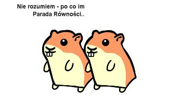 chomiki32.jpg