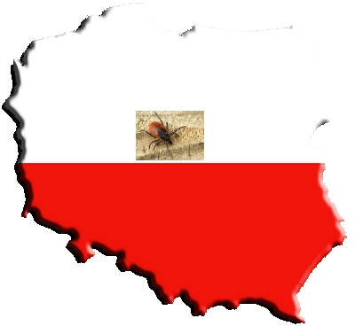 POLSKA.jpg