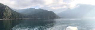IMG_6371.jpg
