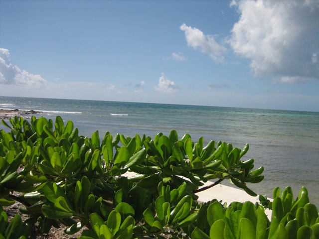 IMG_0826.JPG