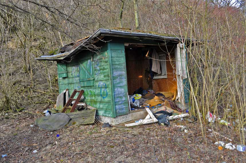 wiosna04.jpg